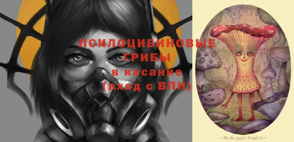 трава Новозыбков