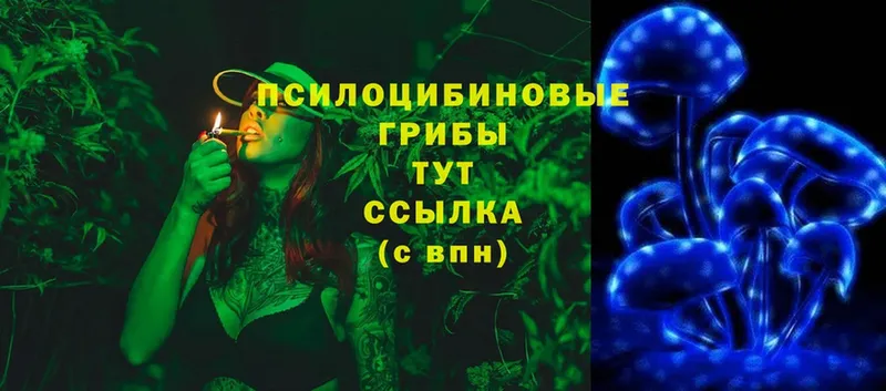 Псилоцибиновые грибы Cubensis  Любань 